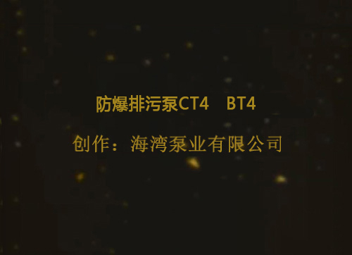 防爆排污泵CT4   BT4